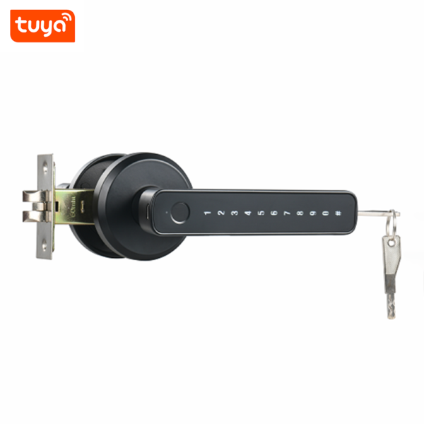 Digital Smart Door Lock With Handle Fingerprint smart door lock with key smart door lock with handle keyless smart door lock top 5 smart door lock